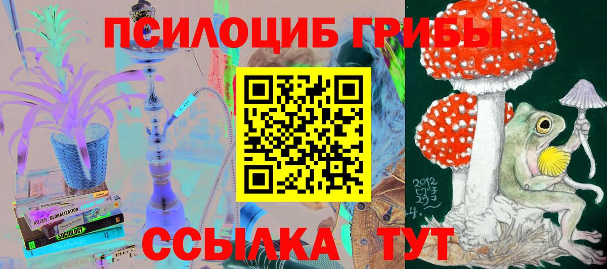 Галлюциногенные грибы Psilocybe  Галлюциногенные грибы Psilocybine cubensis  Дербент  Вход с VPN 