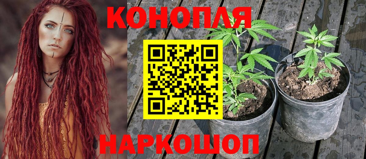 A PVP Дербент